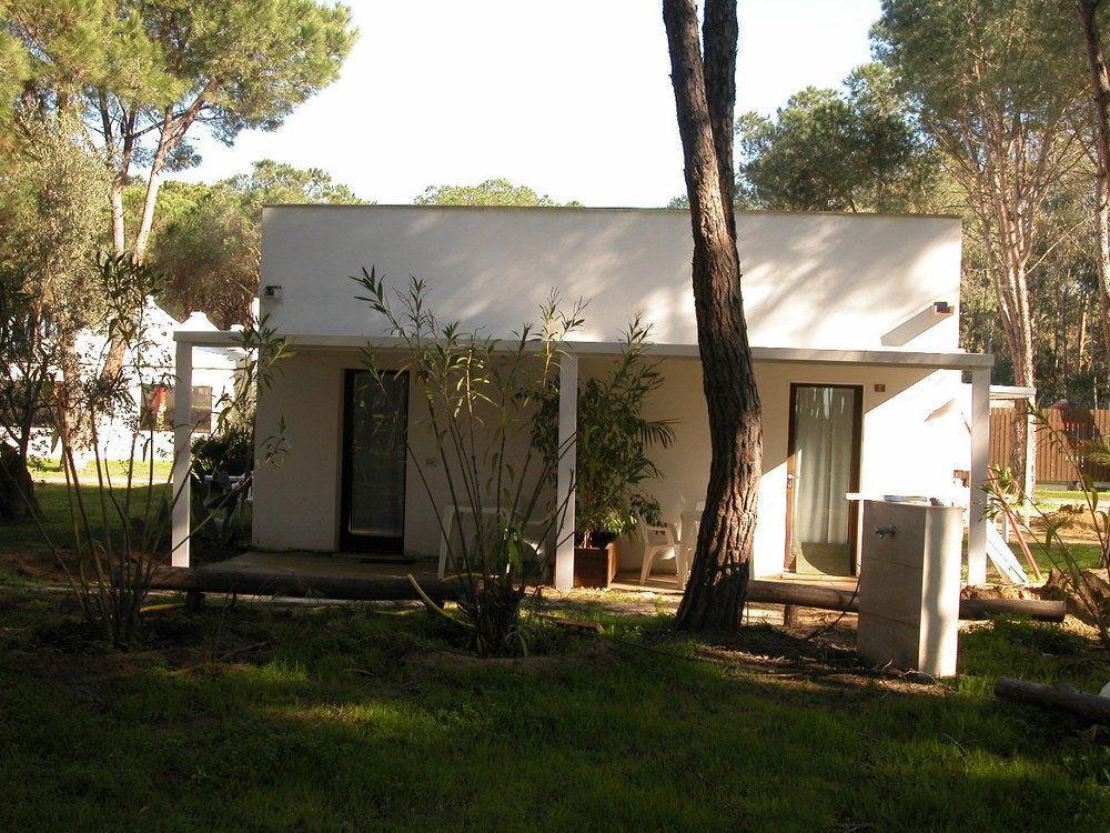 Spinnaker Oristano